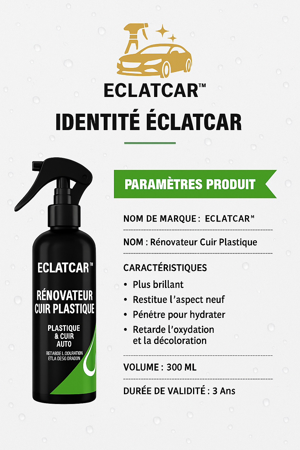 Spray Cuir & Plastique ECLATCAR™